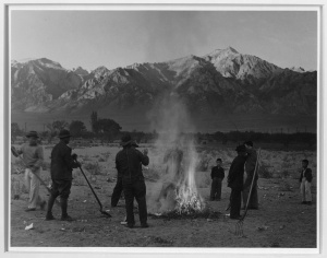 Fig 08: Adams, Ansel, 1943: Burning leaves, autumn dawn, Manzanar Relocation Center, California