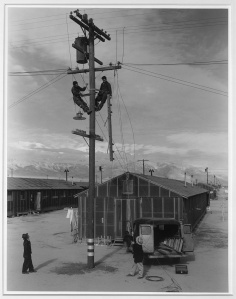 Fig 09: Adams, Ansel 1943: Line crew at work in Manzanar, Manzanar Relocation Center, Manzanar, California